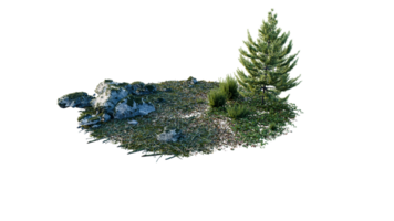 Round surface of Small Plant forest patch covered with flowers, green or dry grass and stone isolated on transparent background. Realistic natural element for design. Bright 3d png