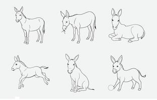Print Stunning Donkey Line Art Illustrations for Creative Projects vector