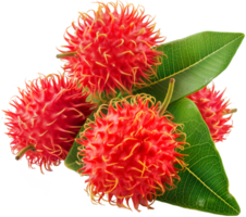 Nephelium lappaceum illustration - Rambutan Fruit with Leaf isolated on a transparent background png