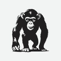 Majestic Chimpanzee Silhouette, Capturing the Wild in Shadow vector