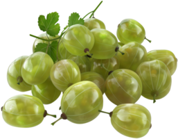 Bunch of gooseberries isolated on a transparent background png