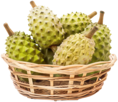 Annona muricata fruit illustration - Ripe soursop in a basket isolated on a transparent background png
