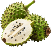Annona Muricata fruit illustration - Ripe soursop with half cut isolated on a transparent background png