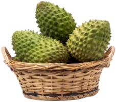 Annona muricata fruit illustration - Ripe soursop in a basket isolated on a transparent background png