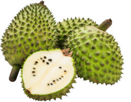 Annona Muricata fruit illustration - Ripe soursop with half cut isolated on a transparent background png