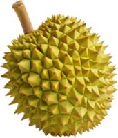 A fresh Durian isolated on a transparent background png