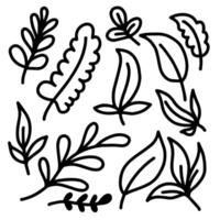 hand drawn set leaves in doodle style. Natural elements with a line for stickers, decor, postcard. vector