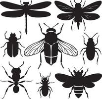 Art and Illustration of a insect silhouette image set vector