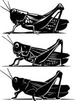 Art and Illustration of a grasshopper silhouette image set vector