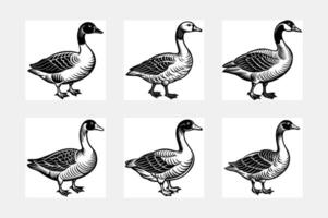 Goose simple illustration silhouette set vector