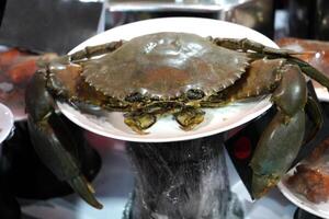 Giant Sundarban Crab is for sale photo