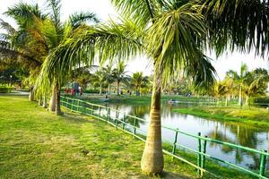 Scenic Background of Kolkata Eco Park photo