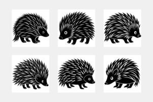 Porcupine illustration bundle vector