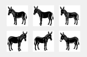 mule illustration bundle vector