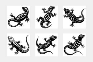 Lizard illustration bundle vector