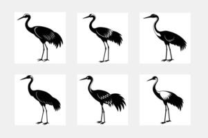set of Crane bird vector