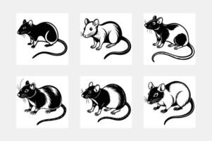 Rat illustration bundle vector
