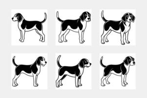Beagle illustration bundle vector
