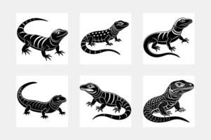 Lizard illustration bundle vector