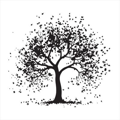 tree with leaves silhouette white background