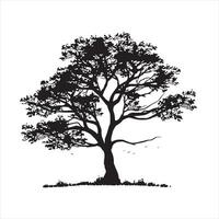 tree with leaves silhouette white background vector