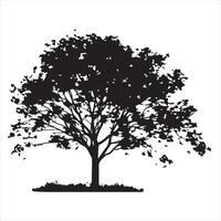 tree with leaves silhouette white background vector