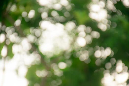 a blurry image of a tree with leaves photo