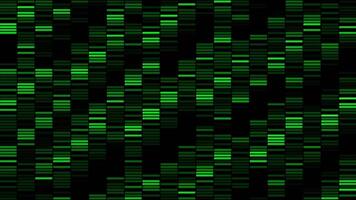 Background with moving lines in stripes on black background. Motion. Glitch of matrix with moving stripes. Matrix background with downward moving stripes video