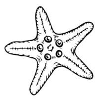 Starfish line art illustration top view. Hand drawn sketch of sea star. Undersea drawing of seashell. Isolated design element in outline style for icon, logo, seafood shop, menu, coloring. vector