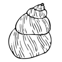 Seashell line art illustration. Hand drawn maritime sketch of seashell. Undersea drawing of seashell. Isolated design element in outline style for icon, logo, seafood shop, menu, coloring. vector