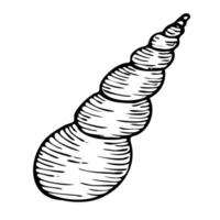 Seashell line art illustration. Hand drawn maritime sketch of seashell. Undersea drawing of seashell. Isolated design element in outline style for icon, logo, seafood shop, menu, coloring. vector