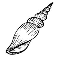 Seashell line art illustration. Hand drawn maritime sketch of seashell. Undersea drawing of seashell. Isolated design element in outline style for icon, logo, seafood shop, menu, coloring. vector