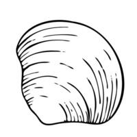 Seashell line art illustration top view. Hand drawn sketch of scallop. Undersea drawing of seashell. Isolated design element in outline style for icon, logo, seafood shop, menu, coloring. vector