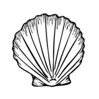 Seashell line art illustration top view. Hand drawn sketch of scallop. Undersea drawing of seashell. Isolated design element in outline style for icon, logo, seafood shop, menu, coloring. vector