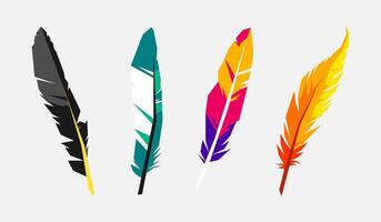 Set collection of feathers with flat illustration style. vector