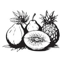 Hand-drawn tropical fruits, featuring intricate black line art. Perfect for adding a touch of exotic elegance to your designs. Ideal for prints, apparel, digital media, and more. vector