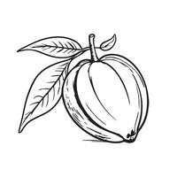 Hand-drawn tropical fruit, featuring intricate black line art. Perfect for adding a touch of exotic elegance to your designs. Ideal for prints, apparel, and digital media. vector