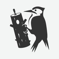 Majestic Woodpecker Silhouette,A Symbol of Nature's Resilience white background vector