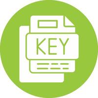 KEY File Glyph Multi Circle Icon vector