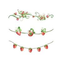 Watercolor strawberry garland with flowers and butterfly set vector