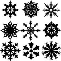 set of symmetrical calligraphic pattern illustration black and white vector