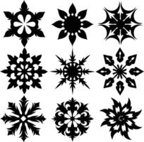 set of symmetrical calligraphic pattern illustration black and white vector