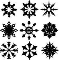set of symmetrical calligraphic pattern illustration black and white vector