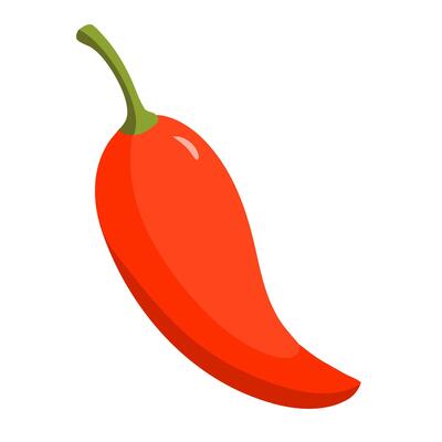 Red chili pepper illustration. Spicy hot pepper, front view
