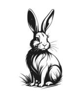 Hand drawn rabbit. Black and white illustration in ink style. vector