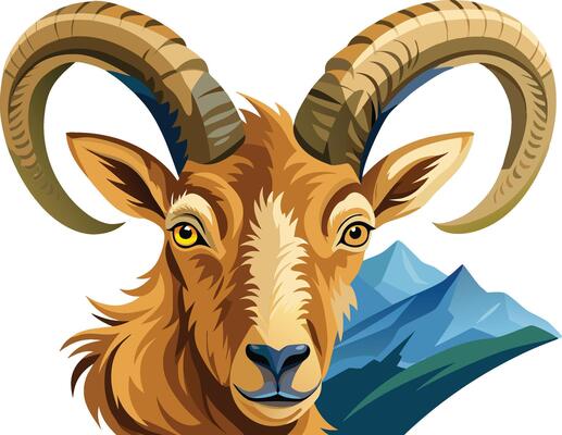 Trophy head of a mighty ibex-