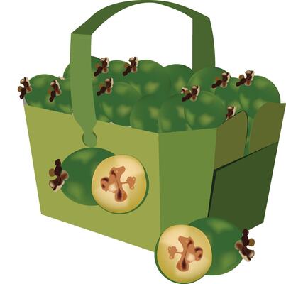 cardboard basket with fruits