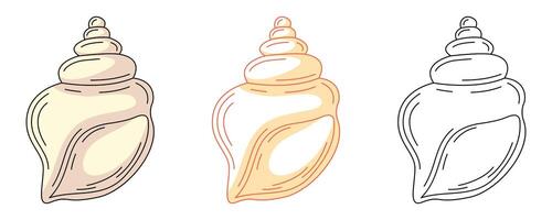 Seashell of snail, colorful and line icons set. Summer beach, underwater, marine concept, outline icon, monochrome and color illustration. Summertime. For sticker, coloring book, logo, label vector