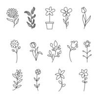 design flower line art set bundle vector