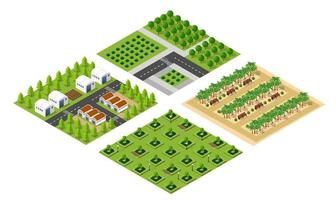 Isometric 3d illustration park trees forest nature elements vector